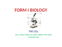 CELL (1).pptx